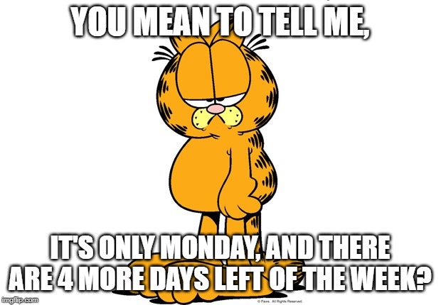 Grumpy Garfield | YOU MEAN TO TELL ME, IT'S ONLY MONDAY, AND THERE ARE 4 MORE DAYS LEFT OF THE WEEK? | image tagged in grumpy garfield | made w/ Imgflip meme maker