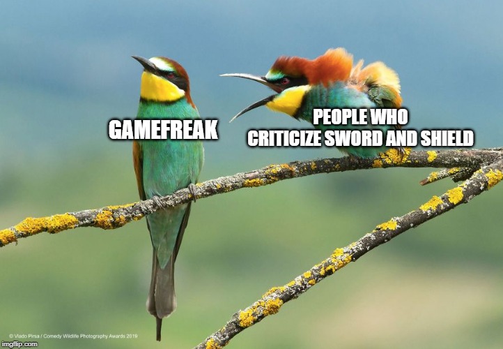 people love yelling | PEOPLE WHO CRITICIZE SWORD AND SHIELD; GAMEFREAK | image tagged in screaming burds,pokemon,pokemon sword and shield | made w/ Imgflip meme maker