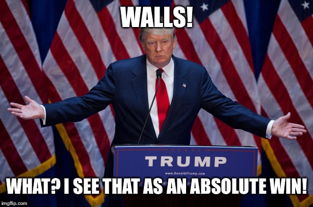 Donald Trump | WALLS! WHAT? I SEE THAT AS AN ABSOLUTE WIN! | image tagged in donald trump | made w/ Imgflip meme maker