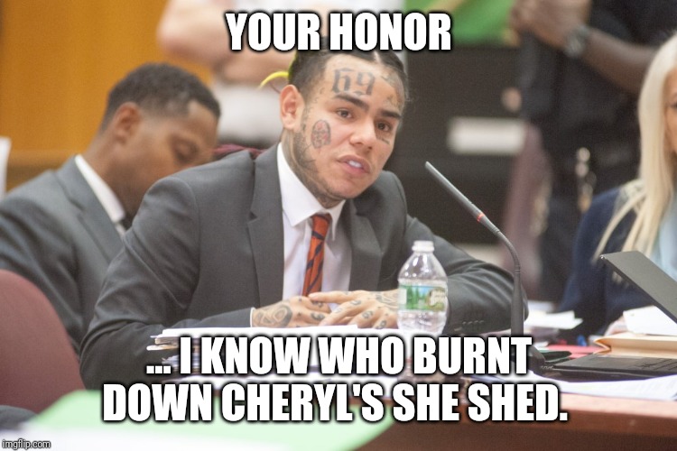 Tekashi 6ix9ine testifies | YOUR HONOR; ... I KNOW WHO BURNT DOWN CHERYL'S SHE SHED. | image tagged in tekashi 6ix9ine testifies | made w/ Imgflip meme maker