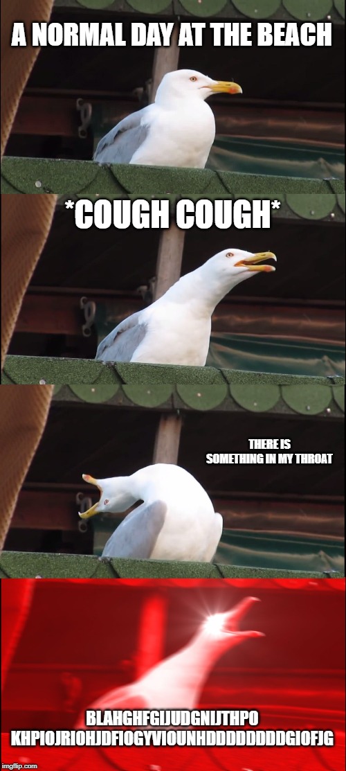 Inhaling Seagull | A NORMAL DAY AT THE BEACH; *COUGH COUGH*; THERE IS SOMETHING IN MY THROAT; BLAHGHFGIJUDGNIJTHPO KHPIOJRIOHJDFIOGYVIOUNHDDDDDDDDGIOFJG | image tagged in memes,inhaling seagull | made w/ Imgflip meme maker