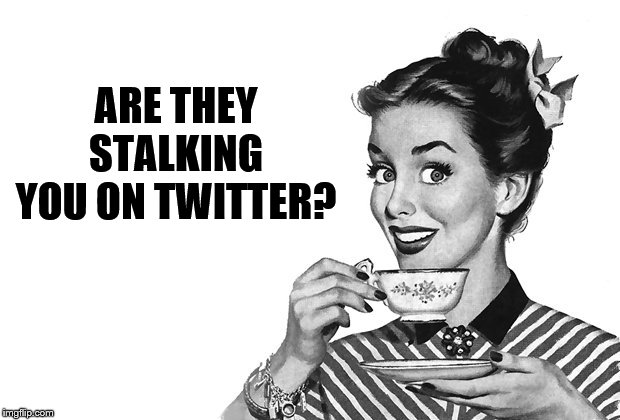 1950s Housewife | ARE THEY STALKING YOU ON TWITTER? | image tagged in 1950s housewife | made w/ Imgflip meme maker