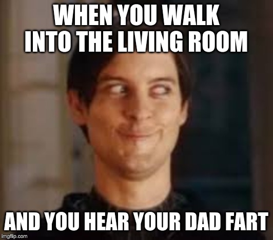WHEN YOU WALK INTO THE LIVING ROOM; AND YOU HEAR YOUR DAD FART | image tagged in toby maguire | made w/ Imgflip meme maker