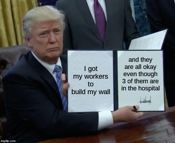 Trump Bill Signing Meme | I got my workers to build my wall; and they are all okay even though 3 of them are in the hospital | image tagged in memes,trump bill signing | made w/ Imgflip meme maker