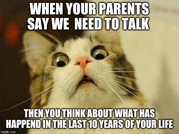 Scared Cat | WHEN YOUR PARENTS SAY WE  NEED TO TALK; THEN YOU THINK ABOUT WHAT HAS HAPPEND IN THE LAST 10 YEARS OF YOUR LIFE | image tagged in memes,scared cat | made w/ Imgflip meme maker