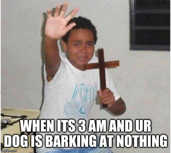 holy meme |  WHEN ITS 3 AM AND UR DOG IS BARKING AT NOTHING | image tagged in memes,holy | made w/ Imgflip meme maker