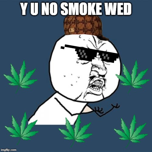 Y U No | Y U NO SMOKE WED | image tagged in memes,y u no | made w/ Imgflip meme maker