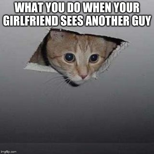 Ceiling Cat | WHAT YOU DO WHEN YOUR GIRLFRIEND SEES ANOTHER GUY | image tagged in memes,ceiling cat | made w/ Imgflip meme maker