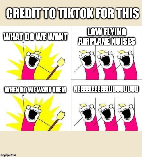 What Do We Want | CREDIT TO TIKTOK FOR THIS; WHAT DO WE WANT; LOW FLYING AIRPLANE NOISES; NEEEEEEEEEEEUUUUUUUU; WHEN DO WE WANT THEM | image tagged in memes,what do we want | made w/ Imgflip meme maker