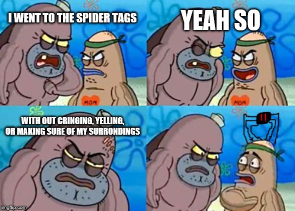 Do not go to spider tags | YEAH SO; I WENT TO THE SPIDER TAGS; WITH OUT CRINGING, YELLING, OR MAKING SURE OF MY SURRONDINGS | image tagged in memes,how tough are you,spiders | made w/ Imgflip meme maker