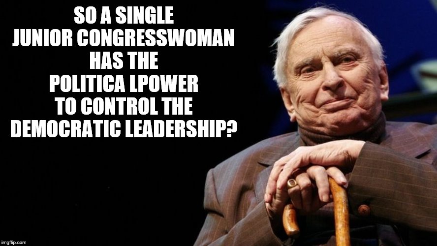 SO A SINGLE JUNIOR CONGRESSWOMAN HAS THE POLITICA LPOWER TO CONTROL THE DEMOCRATIC LEADERSHIP? | made w/ Imgflip meme maker