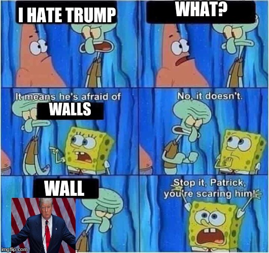 Scaring Squidward | WHAT? I HATE TRUMP; WALLS; WALL | image tagged in scaring squidward | made w/ Imgflip meme maker