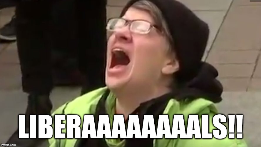 Screaming Liberal  | LIBERAAAAAAAALS!! | image tagged in screaming liberal | made w/ Imgflip meme maker