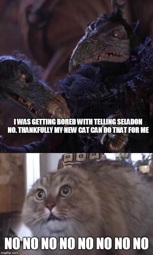 The Emperor's Cat | I WAS GETTING BORED WITH TELLING SELADON NO. THANKFULLY MY NEW CAT CAN DO THAT FOR ME; NO NO NO NO NO NO NO NO | image tagged in the dark crystal,skeksis,nonono cat,cats | made w/ Imgflip meme maker