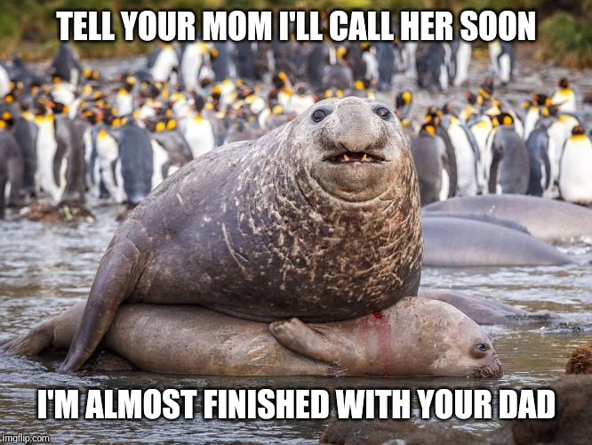 Hot Heavy and Sweaty Loves | TELL YOUR MOM I'LL CALL HER SOON; I'M ALMOST FINISHED WITH YOUR DAD | image tagged in hot heavy and sweaty loves,AdviceAnimals | made w/ Imgflip meme maker