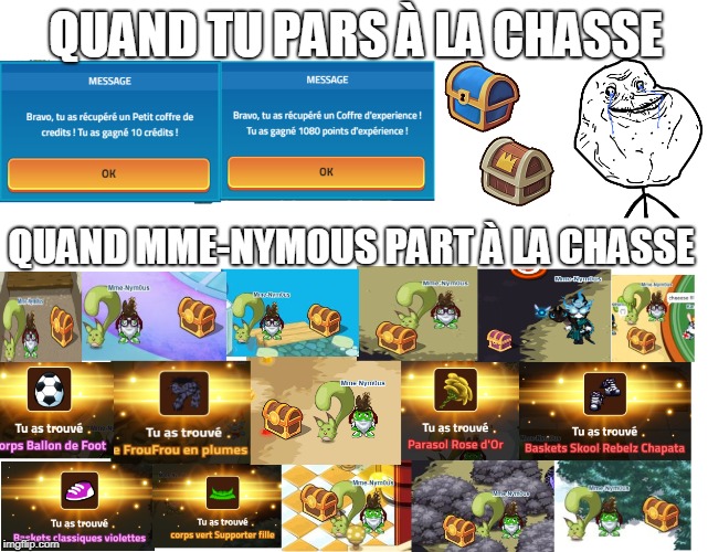 QUAND TU PARS À LA CHASSE; QUAND MME-NYM0US PART À LA CHASSE | made w/ Imgflip meme maker