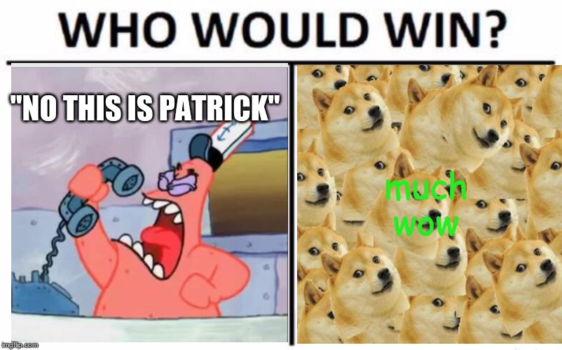 "NO THIS IS PATRICK"; much wow | image tagged in no this is patrick | made w/ Imgflip meme maker