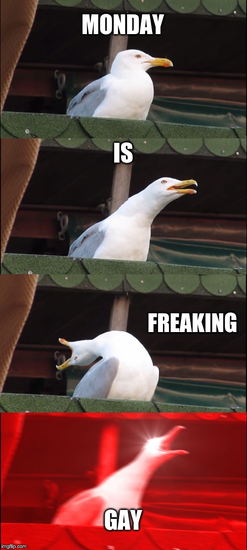 Inhaling Seagull | MONDAY; IS; FREAKING; GAY | image tagged in memes,inhaling seagull | made w/ Imgflip meme maker