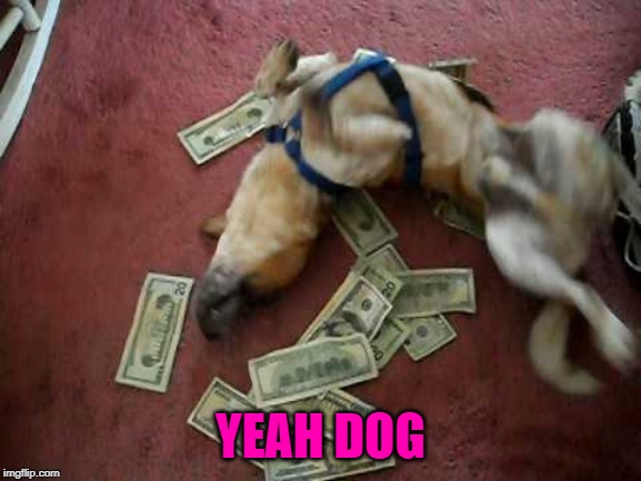 YEAH DOG | made w/ Imgflip meme maker