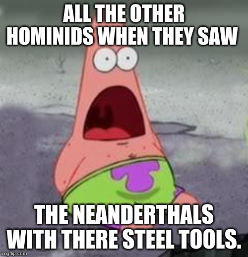 Suprised Patrick | ALL THE OTHER HOMINIDS WHEN THEY SAW; THE NEANDERTHALS WITH THERE STEEL TOOLS. | image tagged in suprised patrick | made w/ Imgflip meme maker