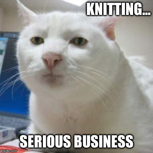 KNITTING... SERIOUS BUSINESS | made w/ Imgflip meme maker