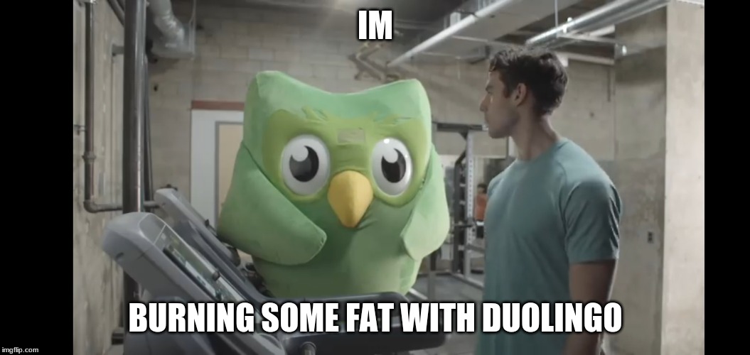 At the gym | IM; BURNING SOME FAT WITH DUOLINGO | image tagged in at the gym | made w/ Imgflip meme maker