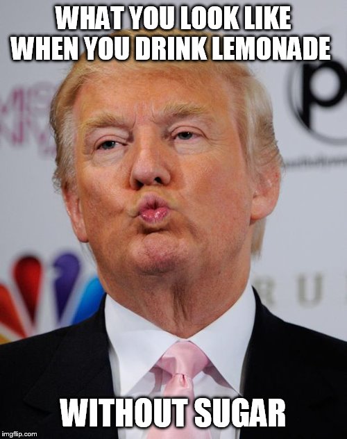 Trump pucker | WHAT YOU LOOK LIKE WHEN YOU DRINK LEMONADE; WITHOUT SUGAR | image tagged in trump pucker | made w/ Imgflip meme maker