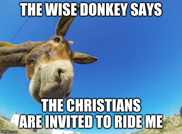 Wise Donkey Says | THE CHRISTIANS ARE INVITED TO RIDE ME | image tagged in wise donkey says | made w/ Imgflip meme maker