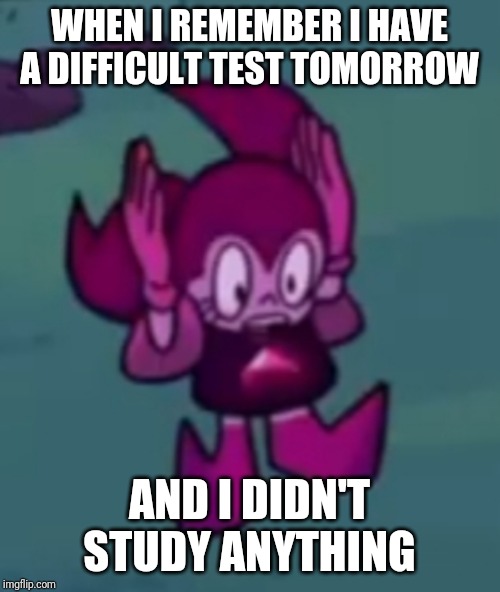WHEN I REMEMBER I HAVE A DIFFICULT TEST TOMORROW; AND I DIDN'T STUDY ANYTHING | image tagged in meme | made w/ Imgflip meme maker