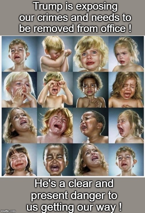 Whiny Democrats | Trump is exposing our crimes and needs to be removed from office ! He's a clear and present danger to us getting our way ! | image tagged in democrats | made w/ Imgflip meme maker