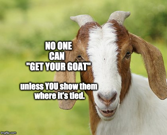 NO ONE CAN  
"GET YOUR GOAT"; unless YOU show them 
where it's tied. | image tagged in words of wisdom | made w/ Imgflip meme maker