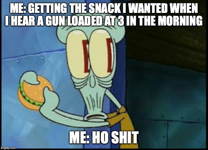 IDK | ME: GETTING THE SNACK I WANTED WHEN I HEAR A GUN LOADED AT 3 IN THE MORNING; ME: HO SHIT | image tagged in idk | made w/ Imgflip meme maker