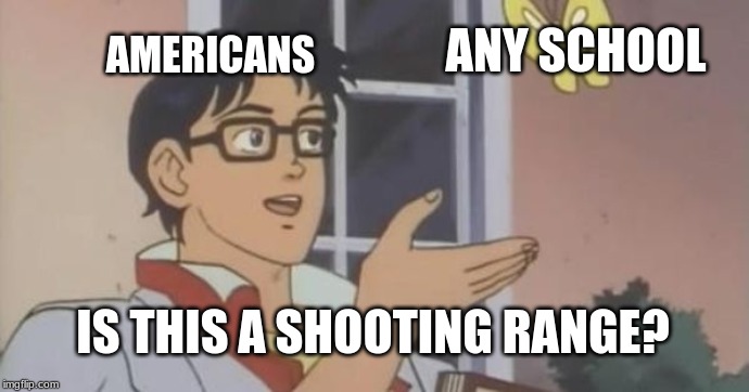 Is This a Pigeon | AMERICANS; ANY SCHOOL; IS THIS A SHOOTING RANGE? | image tagged in is this a pigeon | made w/ Imgflip meme maker