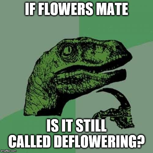 Philosoraptor Meme | IF FLOWERS MATE; IS IT STILL CALLED DEFLOWERING? | image tagged in memes,philosoraptor,flowers | made w/ Imgflip meme maker
