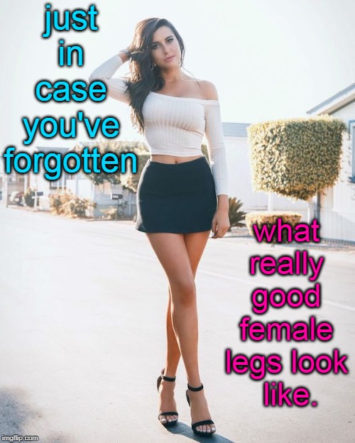 great day in the morning | just in case you've forgotten; what really good female legs look  like. | image tagged in sexy legs,female form,beautiful woman,brunette,meme end | made w/ Imgflip meme maker