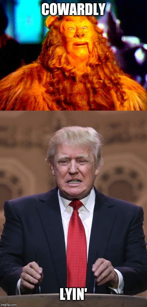 COWARDLY; LYIN' | image tagged in cowardly lion,donald trump | made w/ Imgflip meme maker