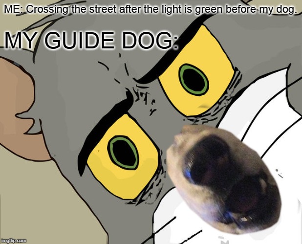 Unsettled Tom Meme | ME: Crossing the street after the light is green before my dog. MY GUIDE DOG: | image tagged in memes,unsettled tom | made w/ Imgflip meme maker
