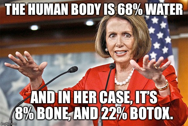 Nancy Pelosi is crazy | THE HUMAN BODY IS 68% WATER; AND IN HER CASE, IT’S 8% BONE, AND 22% BOTOX. | image tagged in nancy pelosi is crazy | made w/ Imgflip meme maker