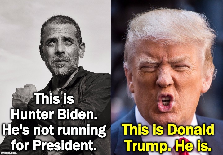 Don't take your eye off the ball. | This is Hunter Biden. He's not running for President. This is Donald Trump. He is. | image tagged in biden,trump,hunter biden | made w/ Imgflip meme maker