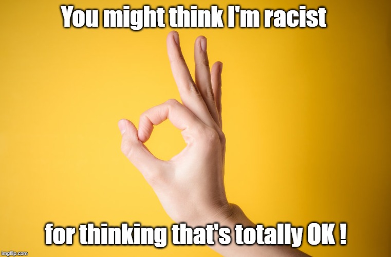That's totally OK! | You might think I'm racist; for thinking that's totally OK ! | image tagged in ok,racist signs | made w/ Imgflip meme maker