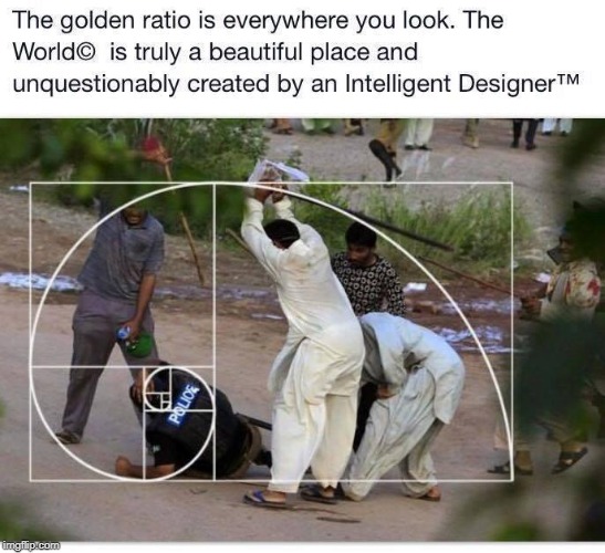 The Golden Ration is Everywhere You Look.The World is Truly a Beautiful Place and Unquestionably Created by Intelligent Designer | image tagged in intelligent designer,the golden ration,everywhere,the world,truly,unquestionably | made w/ Imgflip meme maker