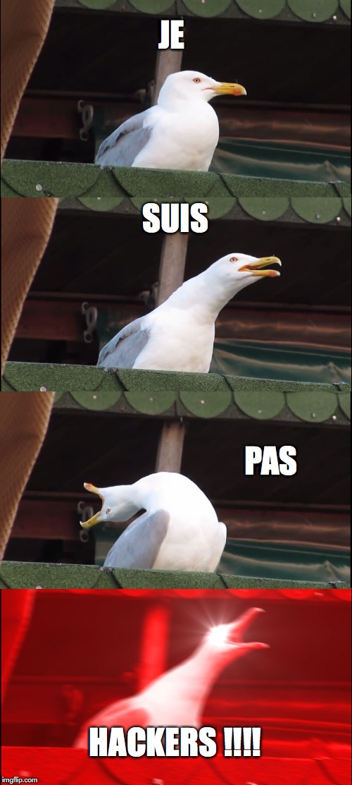 Inhaling Seagull Meme | JE; SUIS; PAS; HACKERS !!!! | image tagged in memes,inhaling seagull | made w/ Imgflip meme maker