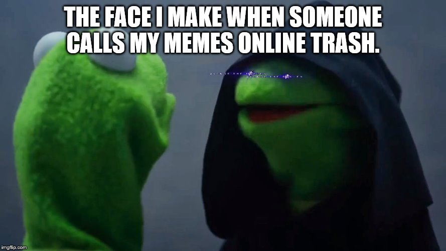 Kermit Inner Me | THE FACE I MAKE WHEN SOMEONE CALLS MY MEMES ONLINE TRASH. | image tagged in kermit inner me | made w/ Imgflip meme maker