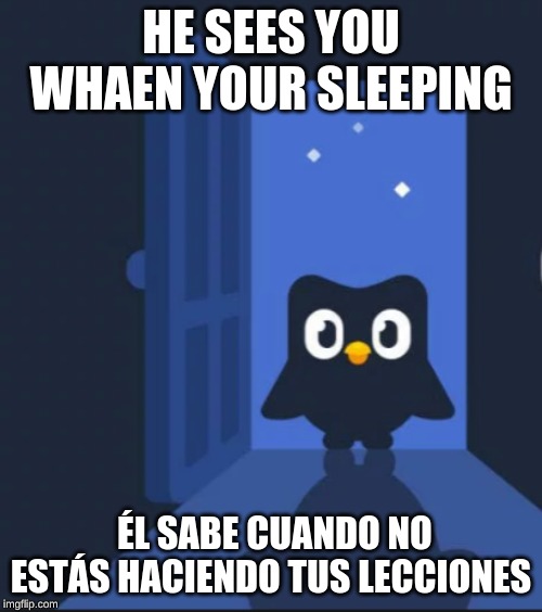 Duolingo bird | HE SEES YOU WHAEN YOUR SLEEPING; ÉL SABE CUANDO NO ESTÁS HACIENDO TUS LECCIONES | image tagged in duolingo bird | made w/ Imgflip meme maker