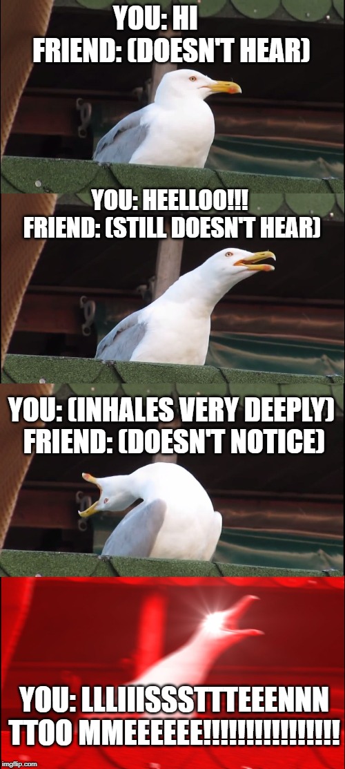 When your friend doesn't listen to you | YOU: HI       FRIEND: (DOESN'T HEAR); YOU: HEELLOO!!!  FRIEND: (STILL DOESN'T HEAR); YOU: (INHALES VERY DEEPLY)  FRIEND: (DOESN'T NOTICE); YOU: LLLIIISSSTTTEEENNN TTOO MMEEEEEE!!!!!!!!!!!!!!!! | image tagged in memes,inhaling seagull | made w/ Imgflip meme maker