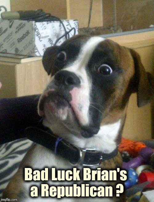 Blankie the Shocked Dog | Bad Luck Brian's 
a Republican ? | image tagged in blankie the shocked dog | made w/ Imgflip meme maker