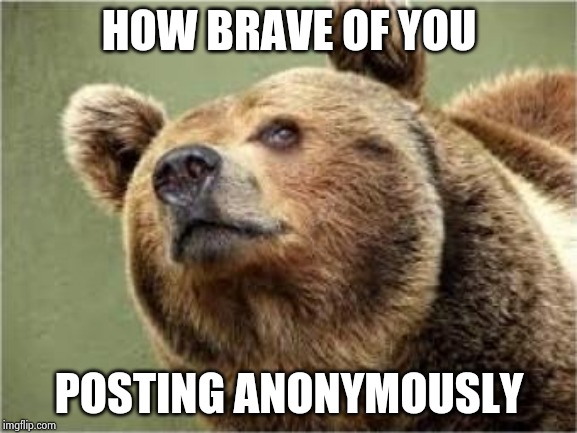 Smug Bear Meme | HOW BRAVE OF YOU POSTING ANONYMOUSLY | image tagged in memes,smug bear | made w/ Imgflip meme maker