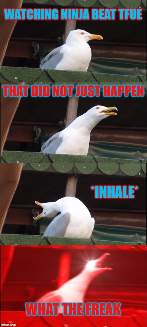 Inhaling Seagull Meme | WATCHING NINJA BEAT TFUE; THAT DID NOT JUST HAPPEN; *INHALE*; WHAT THE FREAK | image tagged in memes,inhaling seagull | made w/ Imgflip meme maker