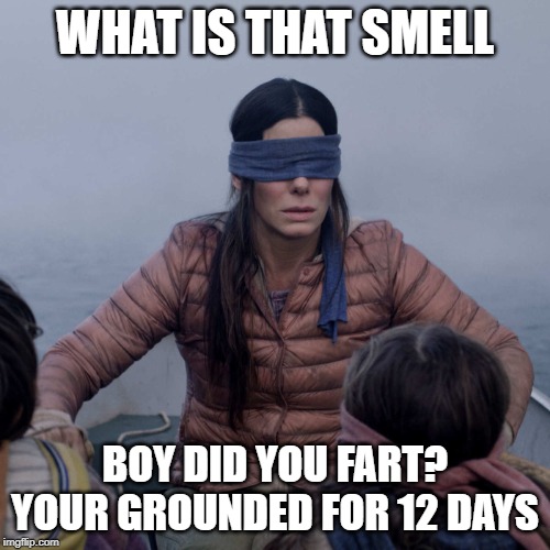 Bird Box Meme | WHAT IS THAT SMELL; BOY DID YOU FART? YOUR GROUNDED FOR 12 DAYS | image tagged in memes,bird box | made w/ Imgflip meme maker