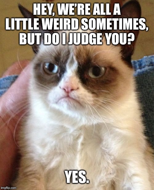 Grumpy Cat Meme | HEY, WE’RE ALL A LITTLE WEIRD SOMETIMES, BUT DO I JUDGE YOU? YES. | image tagged in memes,grumpy cat | made w/ Imgflip meme maker
